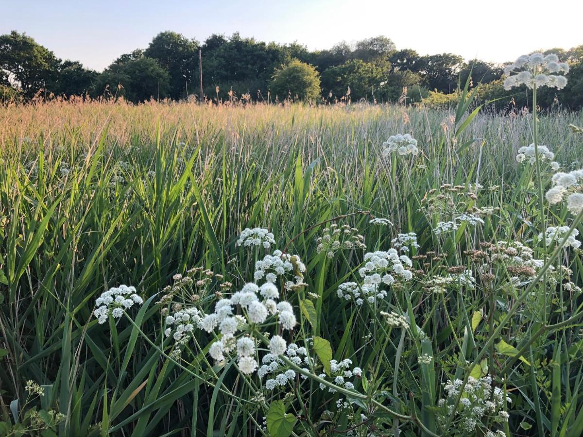 Hotel Secret Garden Glamping Lymington Exteriér fotografie